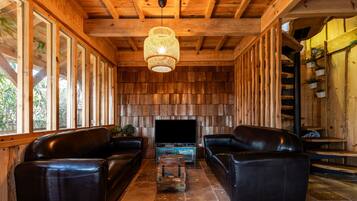 Televisión, reproductor de DVD