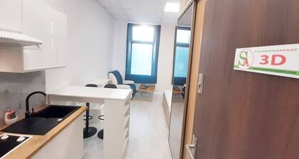 SouvenirAppart Sienkiewicza 3D