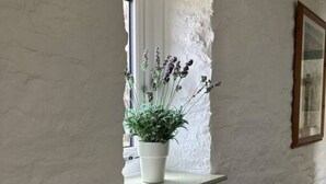 A white textured wall with a small shelf holding a potted plant. - The Stables - Crackington Haven Cornwall (Crackington Haven)