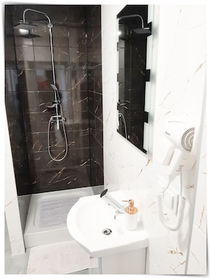 Hair dryer, towels, soap, toilet paper