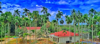 Malnad Shire