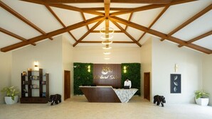 Zona de recepción con techo de madera, mostrador de recepción, estantería y dos plantas en macetas.