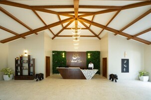 Zona de recepción con techo de madera, mostrador de recepción, estantería y dos plantas en macetas.