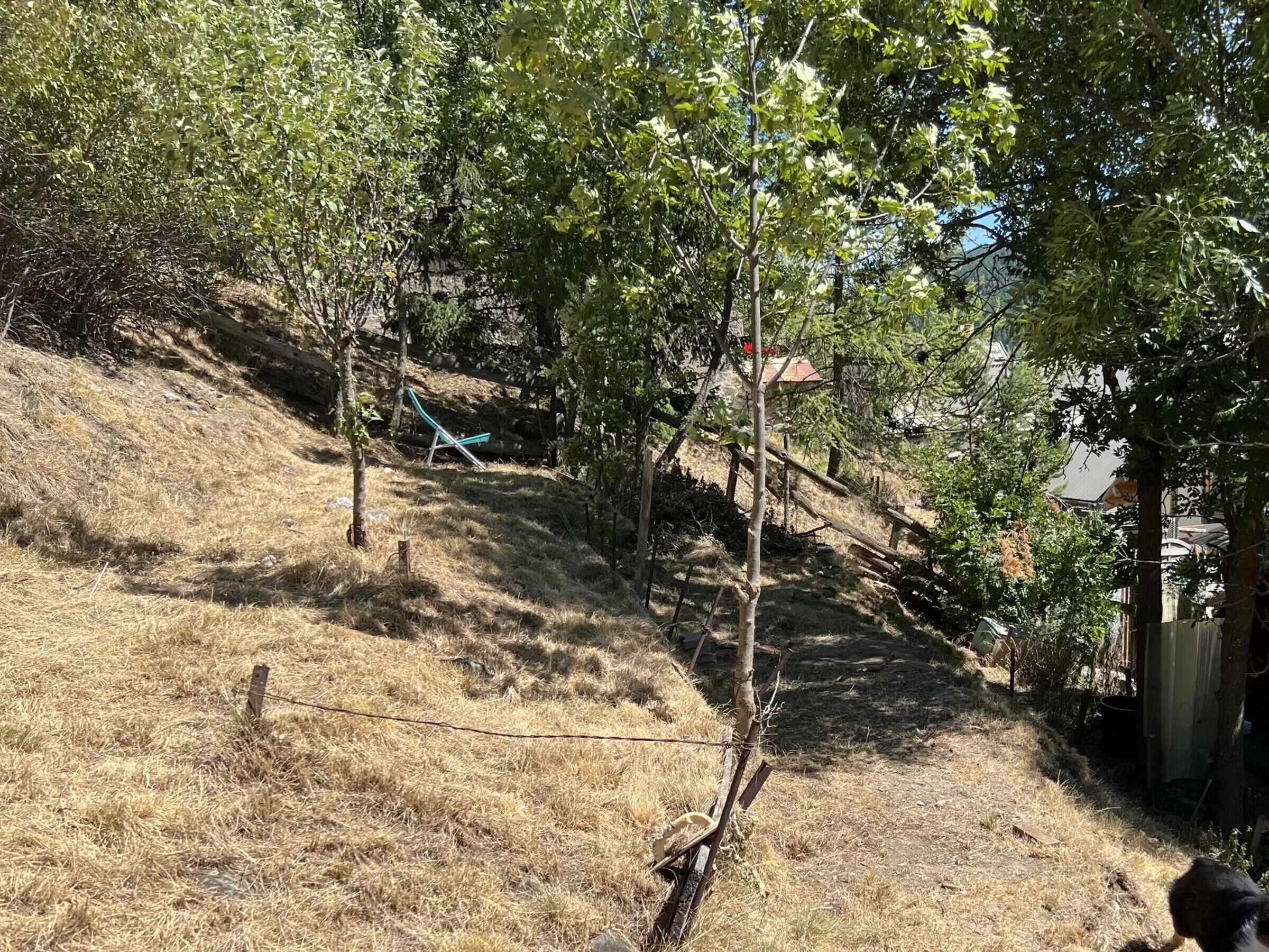 Une colline parsemée d’herbe clairsemée, avec quelques arbres et une clôture en bois.
