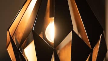 A geometric pendant light fixture with a central bulb.
