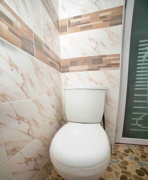 Douche, serviettes fournies, papier toilette
