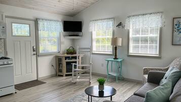 Televisión y libros