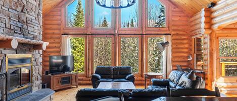 Télévision, cheminée