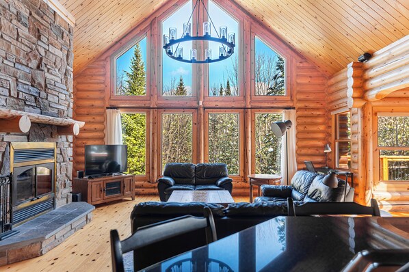 Télévision, cheminée