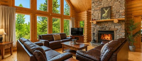 TV, fireplace