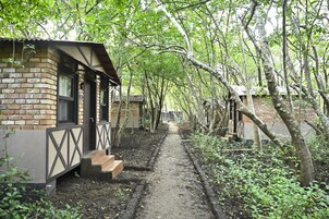 Premium Cabin | Desk, bed sheets