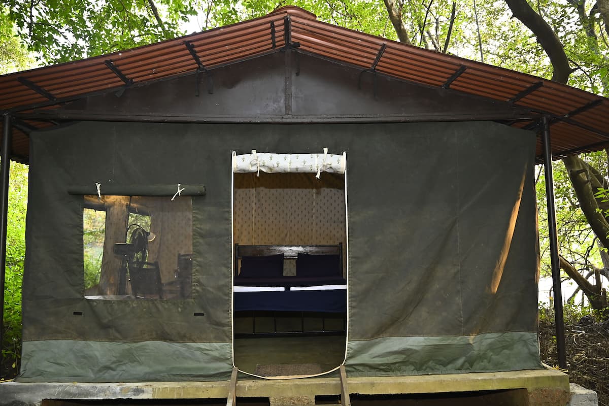 Premium Tent | 1 bedroom, desk, rollaway beds, bed sheets