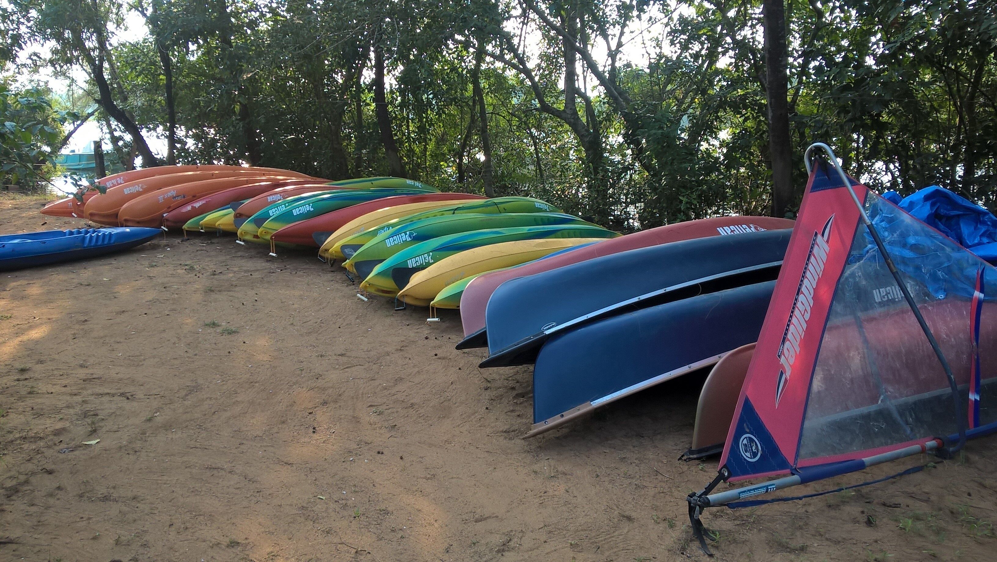 Una hilera de kayaks coloridos y una carpa sobre arena, con árboles al fondo.
