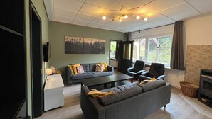 A modern living room with a grey sofa, a coffee table, and a fireplace. - Platell Ferienhäuser Lerbach, Detached house for up to 8 people with fireplace (Osterode am Harz)