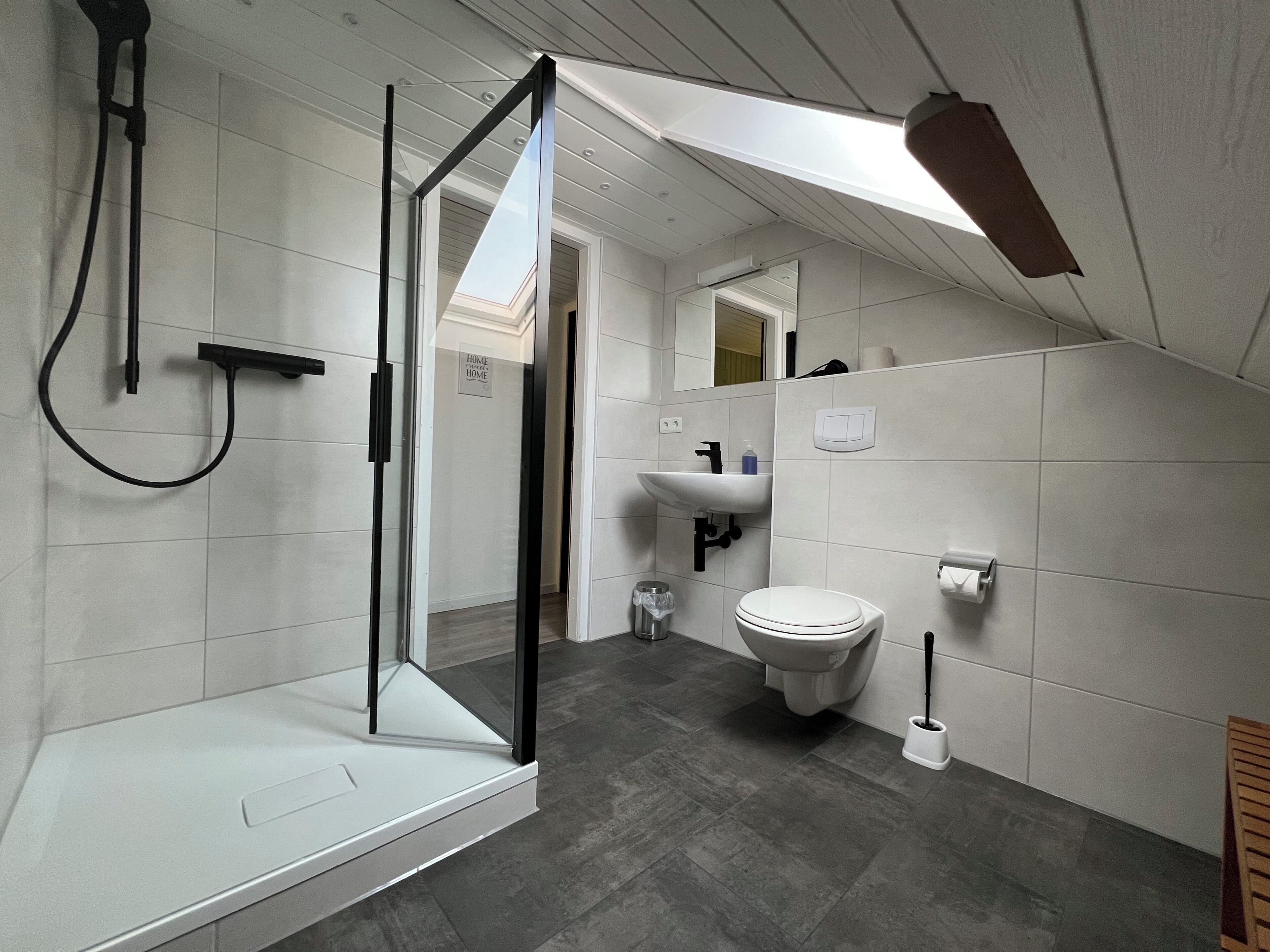 Shower, hair dryer, soap