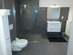 Hair dryer, towels, soap, toilet paper - Studio de Spa (Spa)