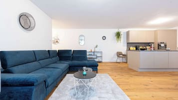 Fernseher, Arbeitsbereiche