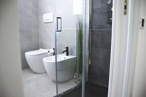 Regadera, secadora de cabello, bidet, toallas 