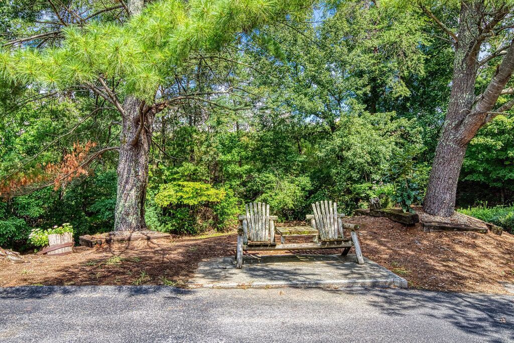 A wooden bench in a park with trees and greenery around.