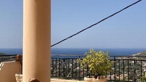 Un balcón con vista al mar, una planta en maceta y una barandilla.