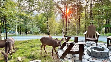 A forested area with a picnic table and chairs, a fire pit, and two deer grazing.
