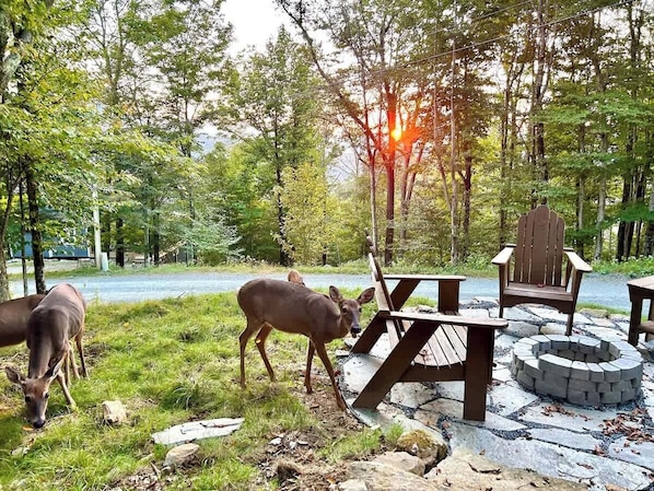 Une zone boisée avec une table de pique-nique et des chaises, un foyer et deux cerfs qui paissent.
