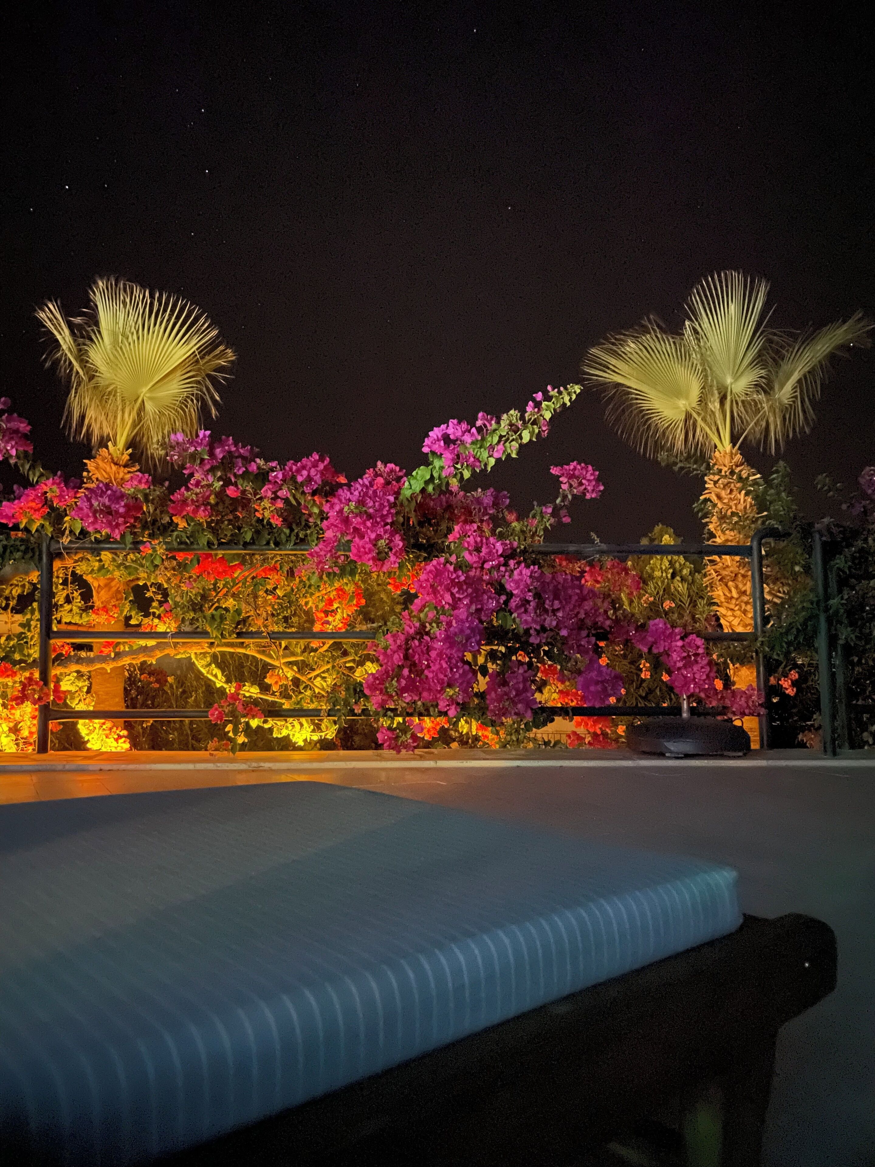 Vista nocturna de un jardín en azotea con piscina, destacando flores coloridas y palmeras iluminadas por luces artificiales.