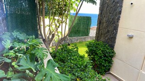 Un jardin avec différentes espèces de plantes et une vue sur la mer.
