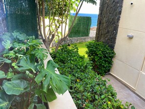 Un giardino con diverse piante e vista sul mare.