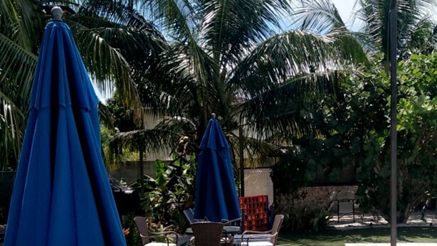 Outdoor seating with blue umbrellas, surrounded by palm trees. - A peice of paradise,large luxury condominium beautiful space cozy & homely!!!!!! (Nassau)
