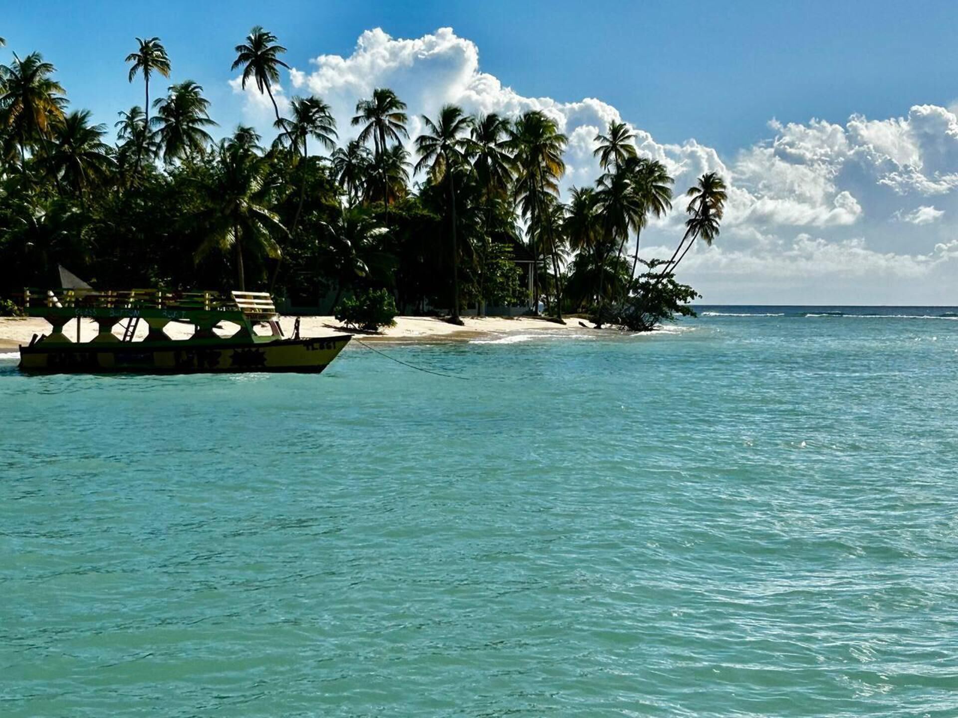A boat on turquoise waters near a beach with palm trees and a sandy shore.