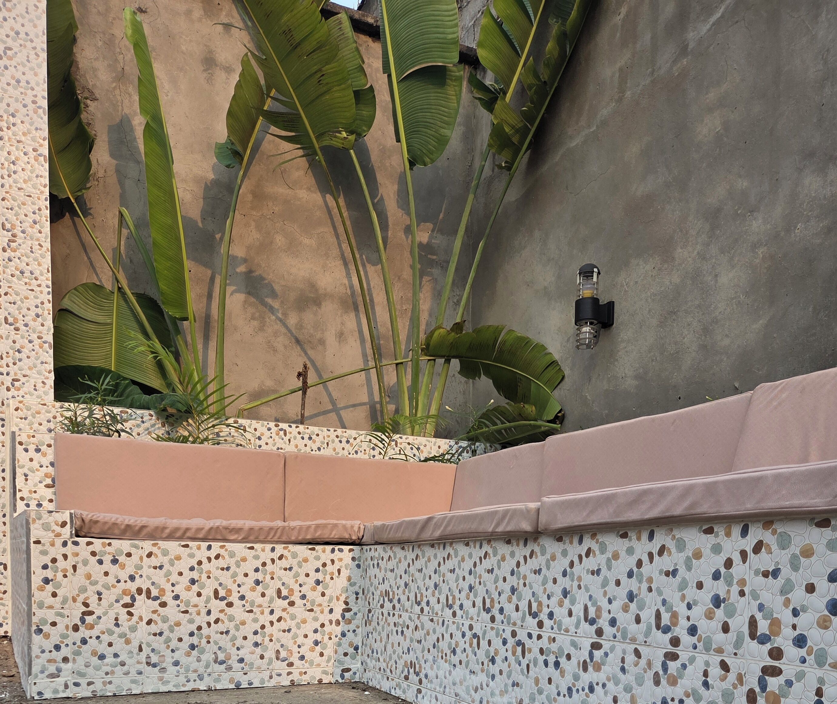 Rincón con pared de concreto, una jardinera con plantas y un aplique de pared.