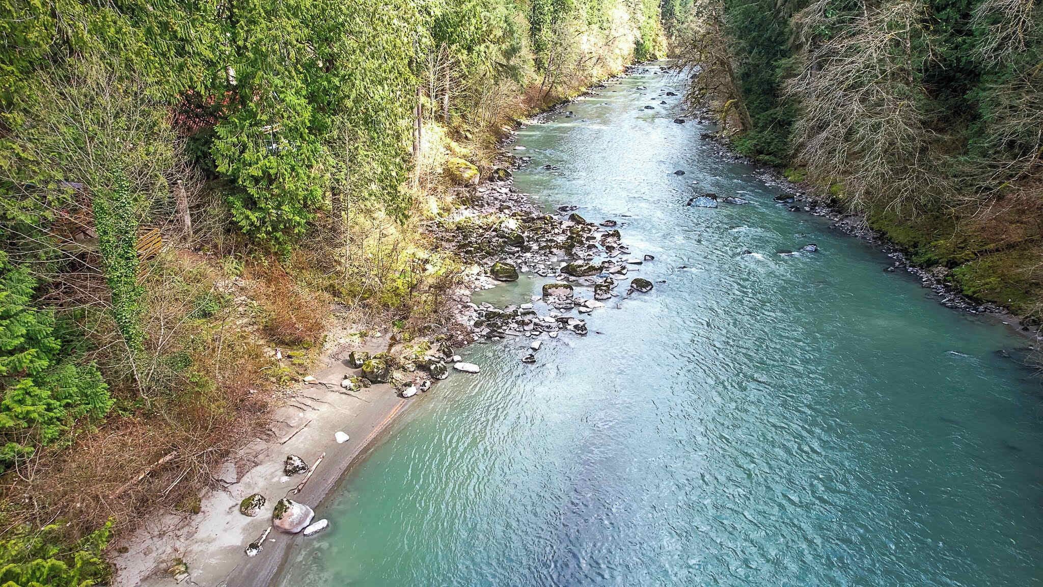 A river with a rocky shoreline, surrounded by dense forest.