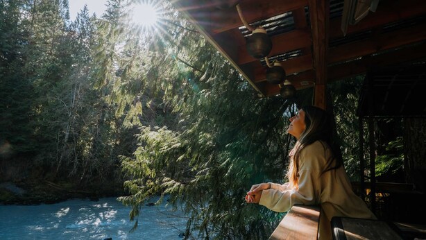 Una persona sentada junto a una ventana con vistas a un área boscosa y un río.