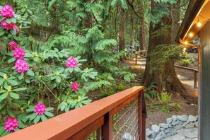 Detalle del exterior