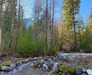 A cabin surrounded by a forest with a gravel path leading to it. - PNW River Cabin • Hot Tub • Firepit • Fireplace (Snohomish County)