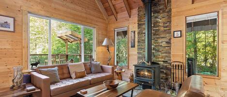 Televisión, chimenea, reproductor de DVD, oficina