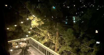 Steps from the slopes - Mountain retreat in Steamboat Springs!