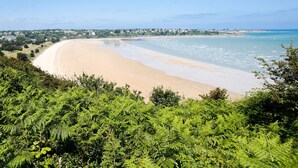 Un paisaje costero con playa de arena, abundante follaje verde y un pueblo lejano.