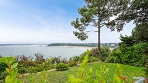 Un paisaje costero con una zona cubierta de hierba, un árbol grande y vistas al mar.