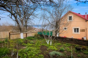 A garden with various plants and a wooden fence.