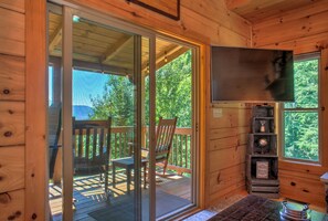 TV, fireplace, books, computer monitors