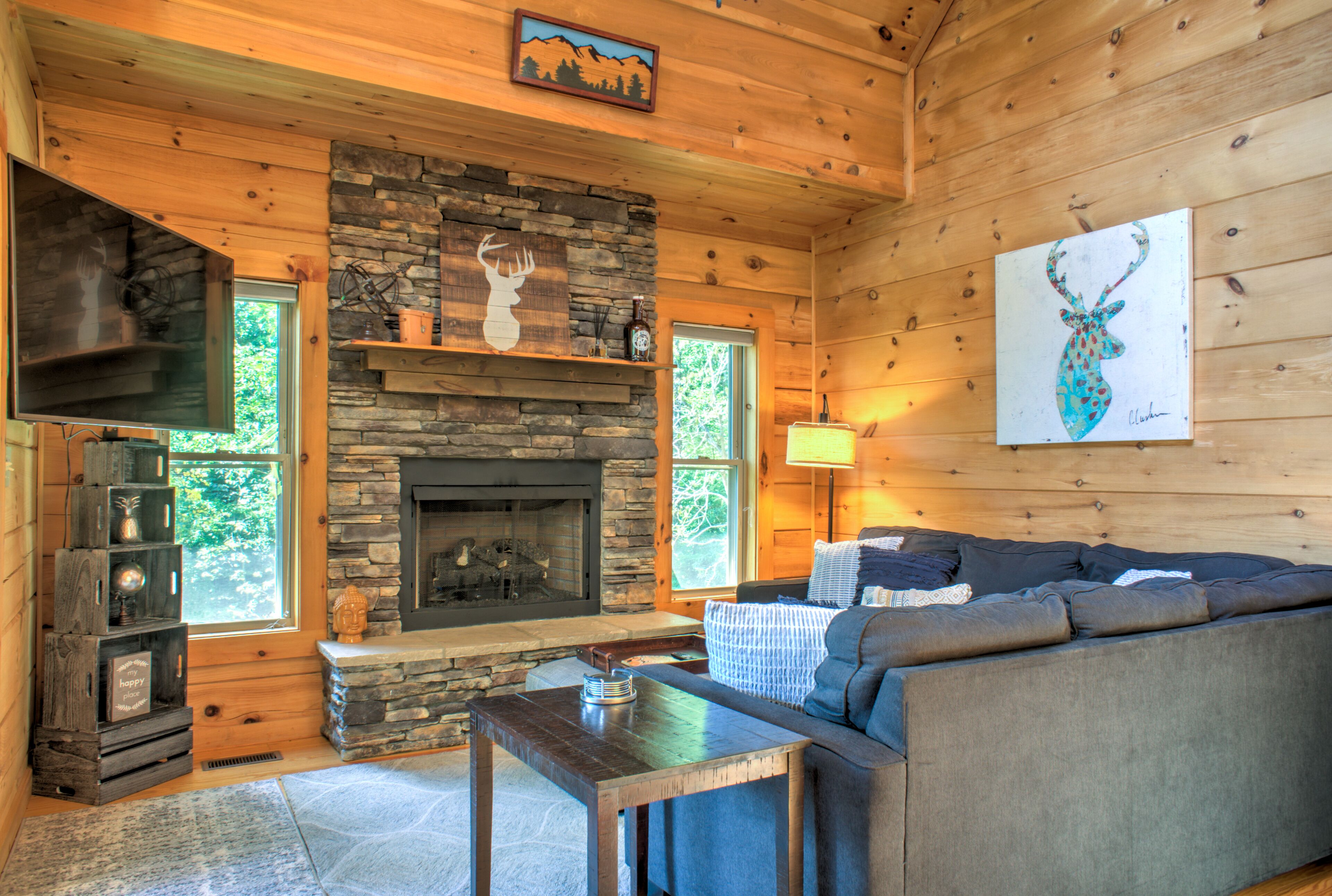 Televisie, een open haard, boeken en een computerscherm