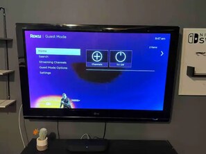 Television - Spacious 1 bedroom suite w free parking near CFB, RMC & DT (Kingston)