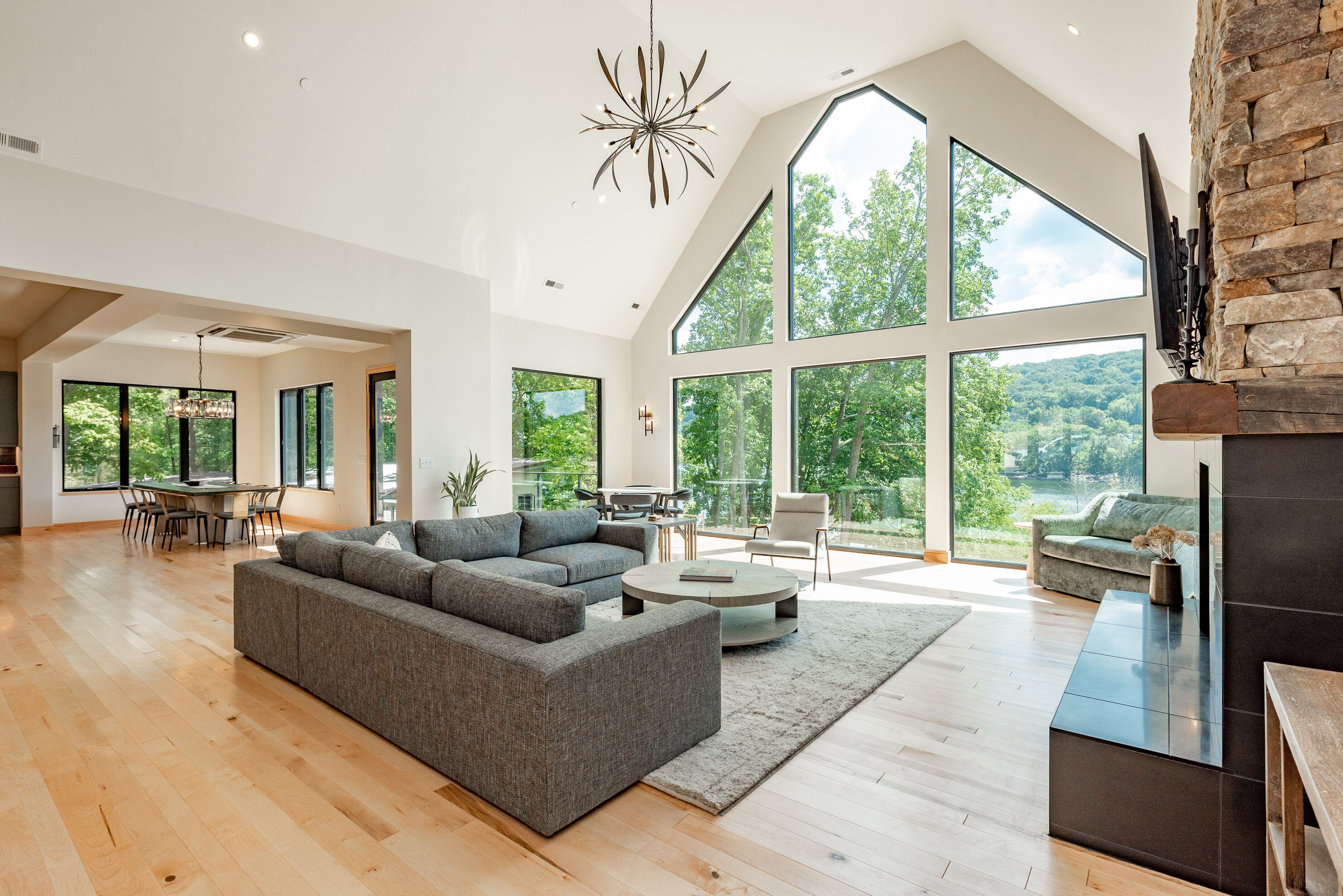 智能电视、壁炉、DVD 播放器