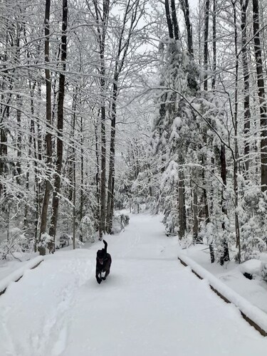 Charming Cavendish Guesthouse