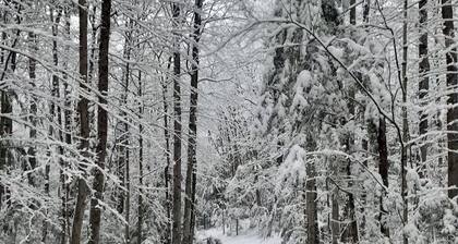 Charming Cavendish Guesthouse