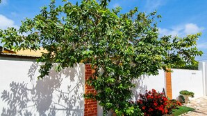 A courtyard with a tiled floor, a tree, and a white wall. - Studio Lighthouse, Walking - 10 min to the beach (Noord)