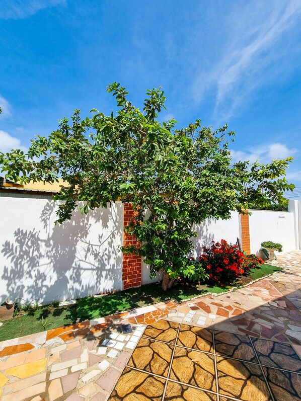 A courtyard with a tiled floor, a tree, and a white wall.