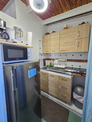 Frigorífico, microondas, placa de cocina y hervidor eléctrico